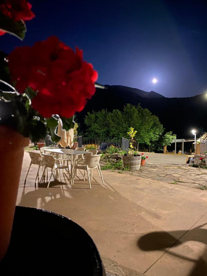 Las Almunias Hotel Casa Tejedor מראה חיצוני תמונה